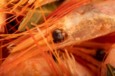 Atlantik karidesi tüm baharat ve defne yaprağıyla pişirilir. Yakın plan, yüzey dokusu.