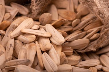 Beyaz ayçiçeği tohumları kaba bir çuval bezinin arka planına saçılmış, yakın çekim seçici odak