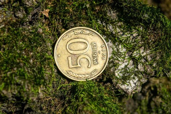 Old Coins Forest Green Moss — Stock Photo, Image