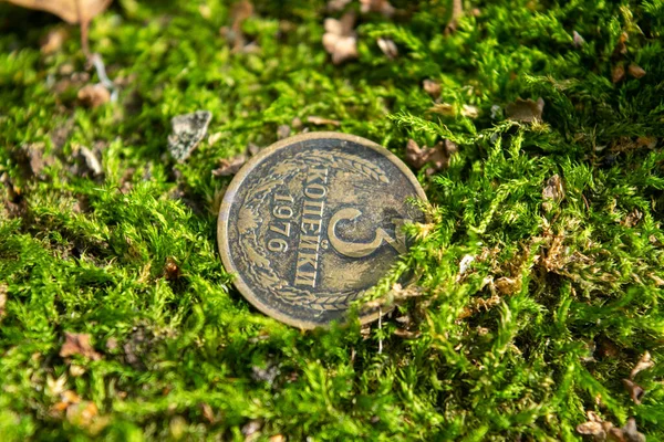 Старі Монети Лісі Зеленому Моху — стокове фото