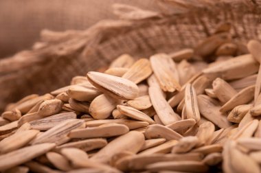 Beyaz ayçiçeği tohumları kaba bir çuval bezinin arka planına saçılmış, yakın çekim seçici odak