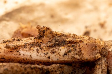 Beyaz yağlı kağıtta biberli ince dilimlenmiş ev yapımı domuz yağı, yakın plan, seçici odaklanma.