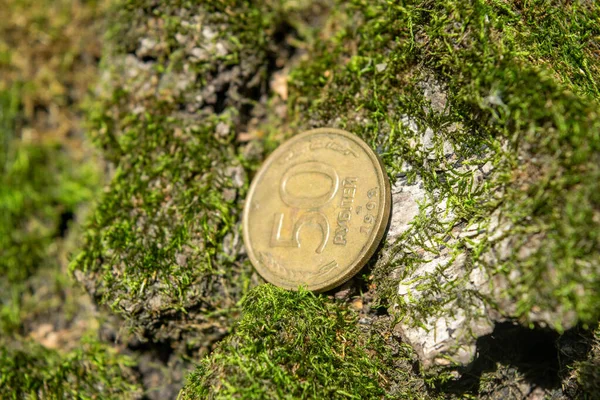 Monedas Antiguas Bosque Sobre Musgo Verde — Foto de Stock