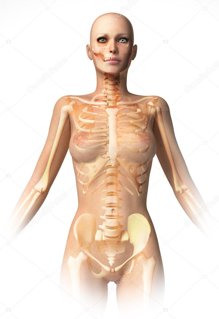 Woman body, with bone skeleton superimposed.
