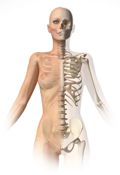 Naken kvinna på kroppen, med ben skelett. — Stockfoto