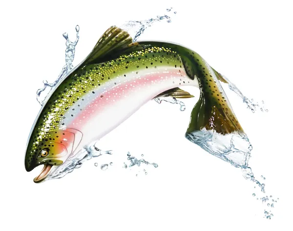 Fische springen aus dem Wasser, mit einigen Spritzern. — Stockfoto