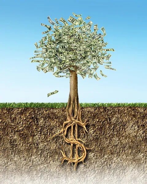 Árbol de dinero en la sección transversal del suelo que muestra raíces signo dólar . —  Fotos de Stock