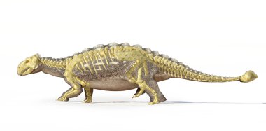 Photorealistic 3 D rendering of an Ankylosaurus, with full skeleton clipart
