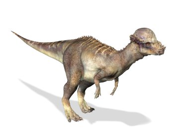 bir pachycephalosaurus 3 d fotogerçekçi render.