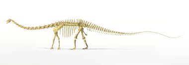 Diplodocus dinozor tam iskelet Foto-realistc işleme.