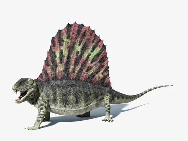 Dimetrodon dinosaurus. na bílém pozadí s zahozené stín — Stock fotografie