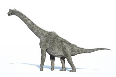 bir brachiosaurus fotogerçekçi 3B rendering.