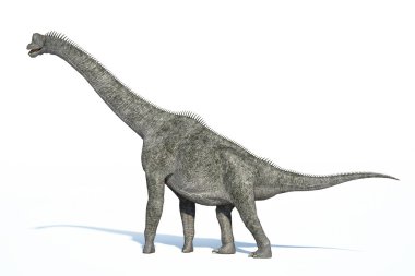 Photorealistic 3 D rendering of a Brachiosaurus. clipart