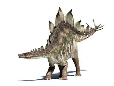Stegosaurus dinozor. izole kırpma yolu ile beyaz üzerinde.