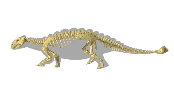 Silueta de dinosaurio Ankylosaurus, con esqueleto completo superpuesto . —  Fotos de Stock