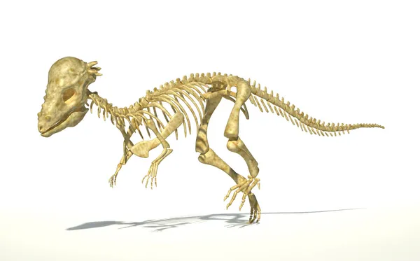 Dinosauro Pachycephalosaurus, scheletro completo fotorealistico, scie — Foto Stock