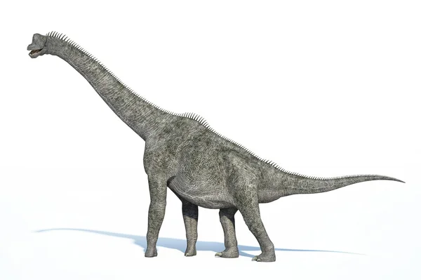 Photorealistic 3 D rendering of a Brachiosaurus. — Stock Photo, Image