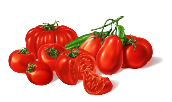 Composition of Different red Tomatoes types grouped. — Stock Photo, Image
