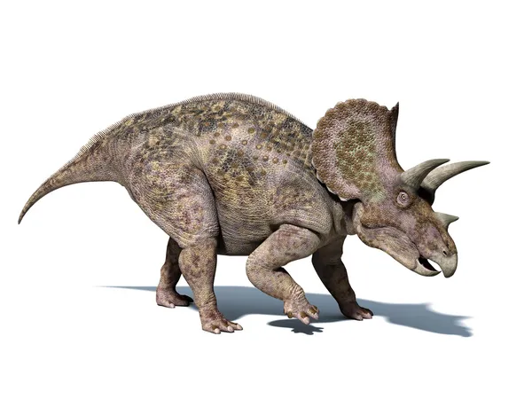 Beyaz arka plan üzerinde izole triceratops dinozor