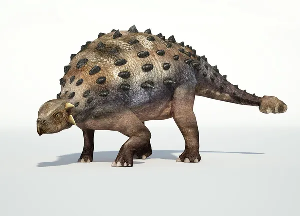 Fotorealistische 3 d weergave van een ankylosaurus. — Stockfoto