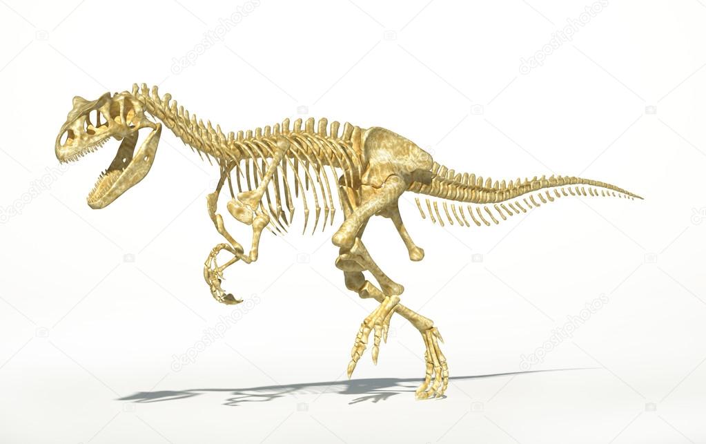 Allosaurus skeleton photo-realistic, scientifically correct.