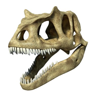 Photorealistic 3 D rendering of an Allosaurus skull. clipart