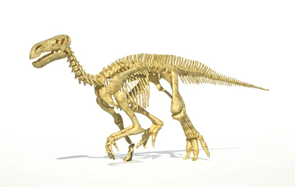 Iguanodon dinosaurier vollskelett fotorealistisch und wissenschaftlich korrekt — Stockfoto