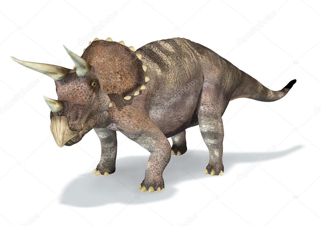 Photorealistic 3 D rendering of a Triceratops.
