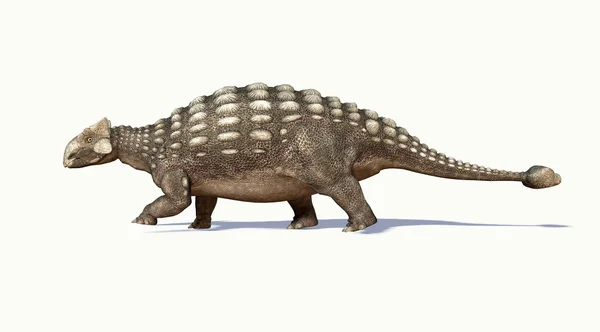 Fotorealistische 3 d weergave van een ankylosaurus. Zijaanzicht. — Stockfoto