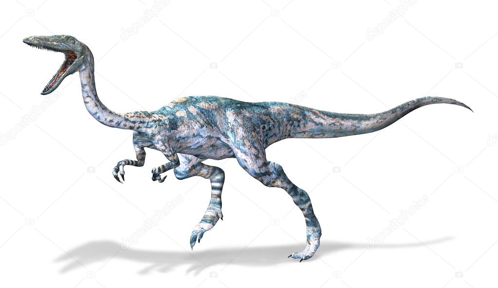 Photorealistic 3 D rendering of a Coelophysis.