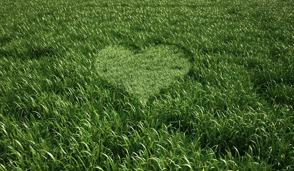 Grass meadow, bird eye view, with a heart shape cut grass in the — Stock Photo, Image