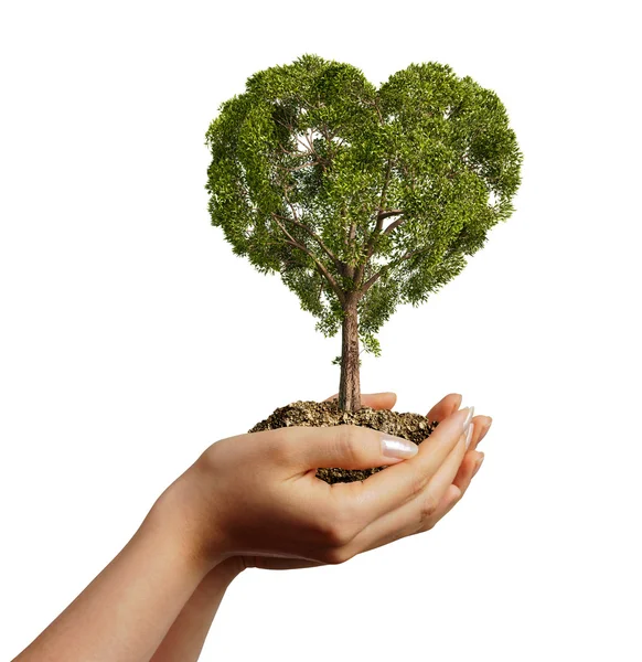 Manos de mujer sosteniendo tierra con un árbol en forma de corazón . —  Fotos de Stock