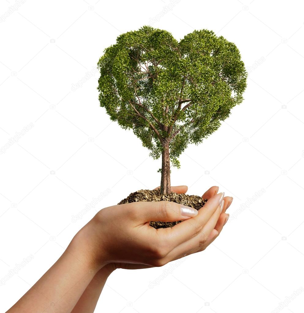 Woman's hands holding soil with a tree heart shaped.