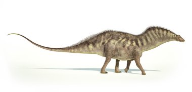 Photorealistic representation of an Amargasaurus dinosaur. Side clipart
