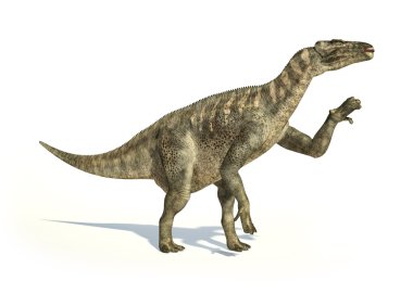Iguanodon Dinosaur photorealistic representation, in dynamic pos clipart