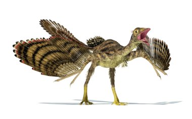archaeopteryx dinozor fotogerçekçi gösterimi.