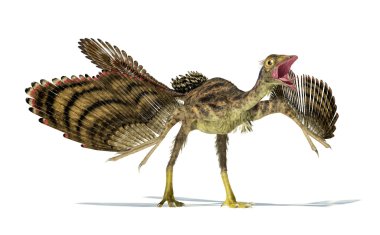 Photorealistic representation of an Archaeopteryx dinosaur. clipart