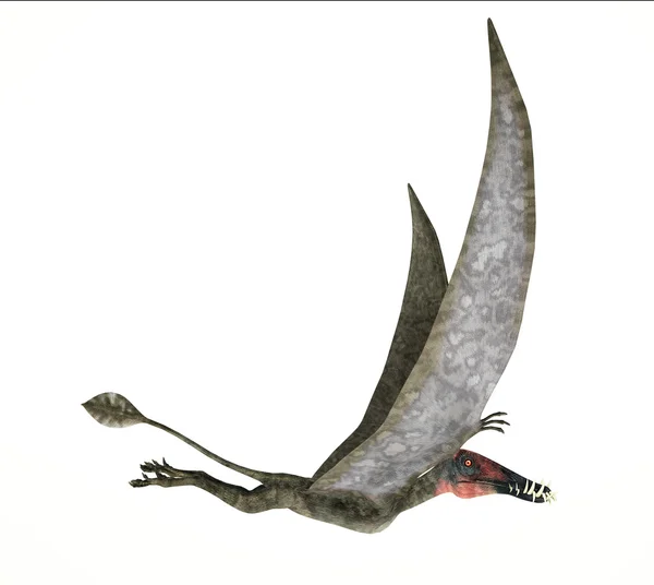 Dorygnathus volando Representación fotorrealista de dinosaurios, lado —  Fotos de Stock