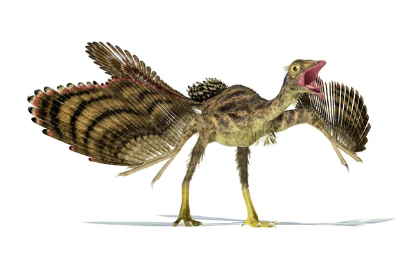 Representação fotorealista de um dinossauro Archaeopteryx . — Fotografia de Stock