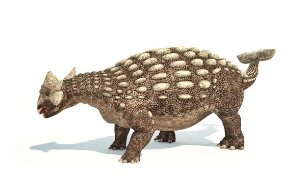 Ankylosaurus Dinosauro rappresentazione fotorealistica. Posti dinamici — Foto Stock