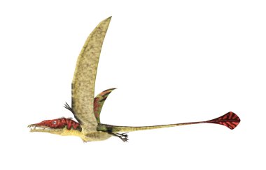 Tarih öncesi sürüngen, fotogerçekçi represe uçan eudimorphodon