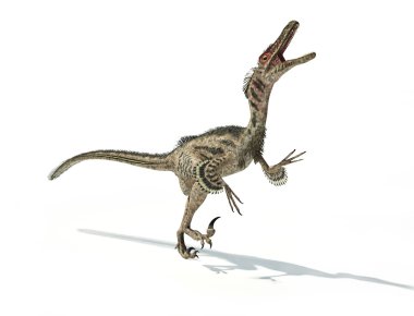 VelociRaptor dinozor, tüyleri ile bilimsel olarak doğru.