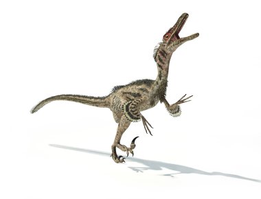 Velociraptor dinosaur, scientifically correct, with feathers. clipart