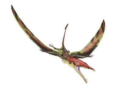 Tarih öncesi sürüngen, fotogerçekçi represe uçan eudimorphodon