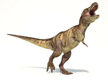dinozor Tyrannosaurus rex, fotogerçekçi gösterimi.