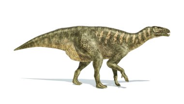İguandonunun dinozor fotogerçekçi gösterimi