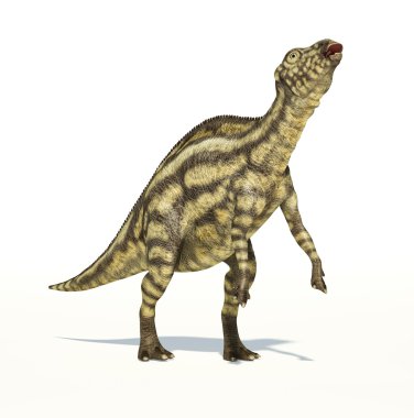 maiasaura dinozor, genç çocuk, fotogerçekçi gösterimi.