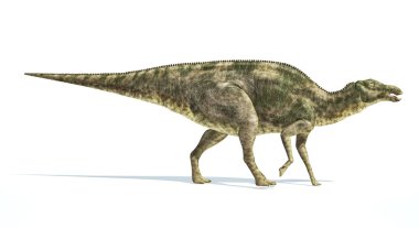 maiasaura dinozor, fotogerçekçi gösterimi.