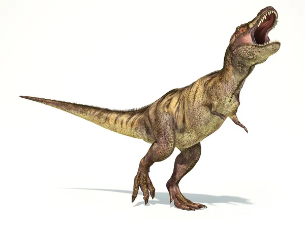 Tyrannosaurus rex dinozaura, fotorealistycznej wizualizacji. — Zdjęcie stockowe