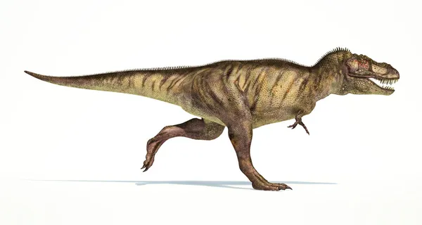 Δεινόσαυρος Tyrannosaurus rex, φωτορεαλιστικές αναπαραστάσεις. — Φωτογραφία Αρχείου